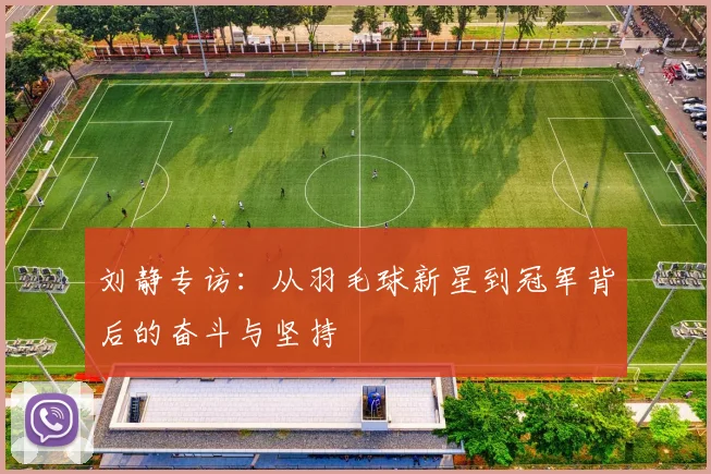 刘静专访：从羽毛球新星到冠军背后的奋斗与坚持