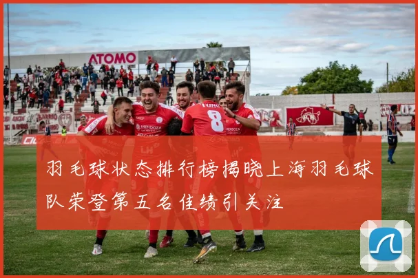 羽毛球状态排行榜揭晓上海羽毛球队荣登第五名佳绩引关注